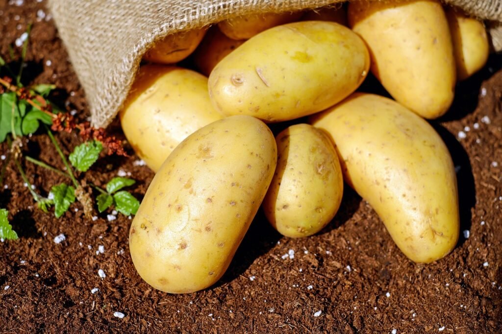 Ultimate Guide: How to Grow Potatoes at Home for Beginners